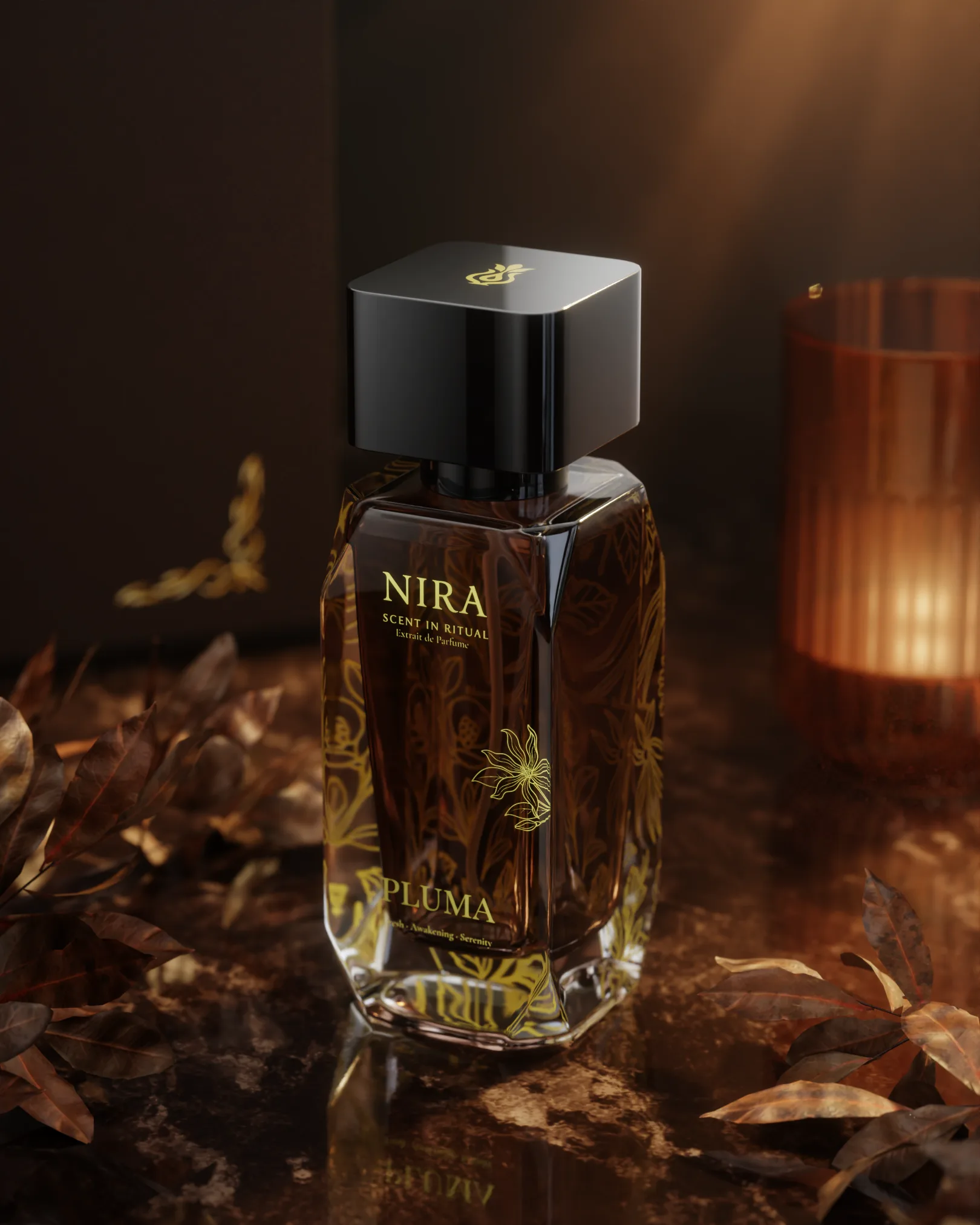 Pluma — La Graine Collection