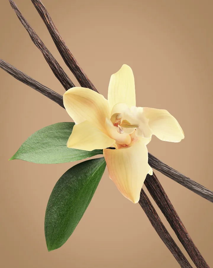 Vanilla